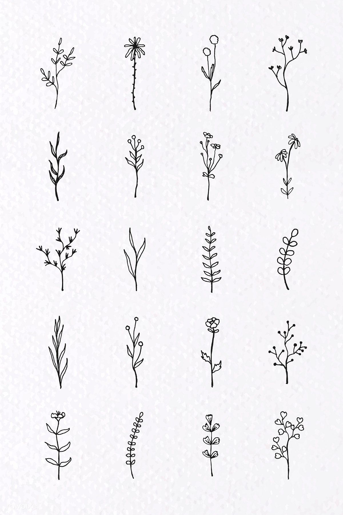 Featured image of post Aesthetic Plant Drawing Simple