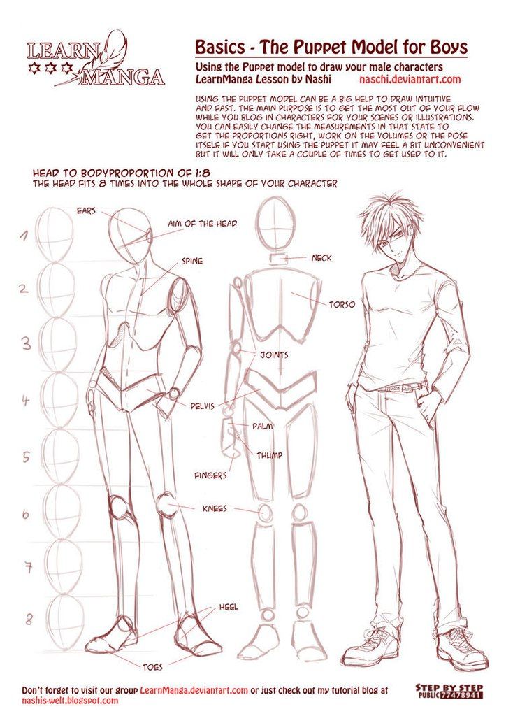 Featured image of post Anatomy Anime Boy Body Reference