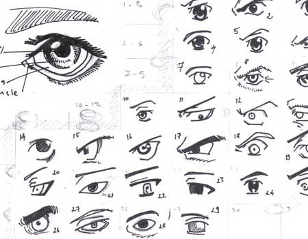 Featured image of post Anime Drawing References Eyes