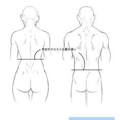 Featured image of post Body Reference Drawing Back