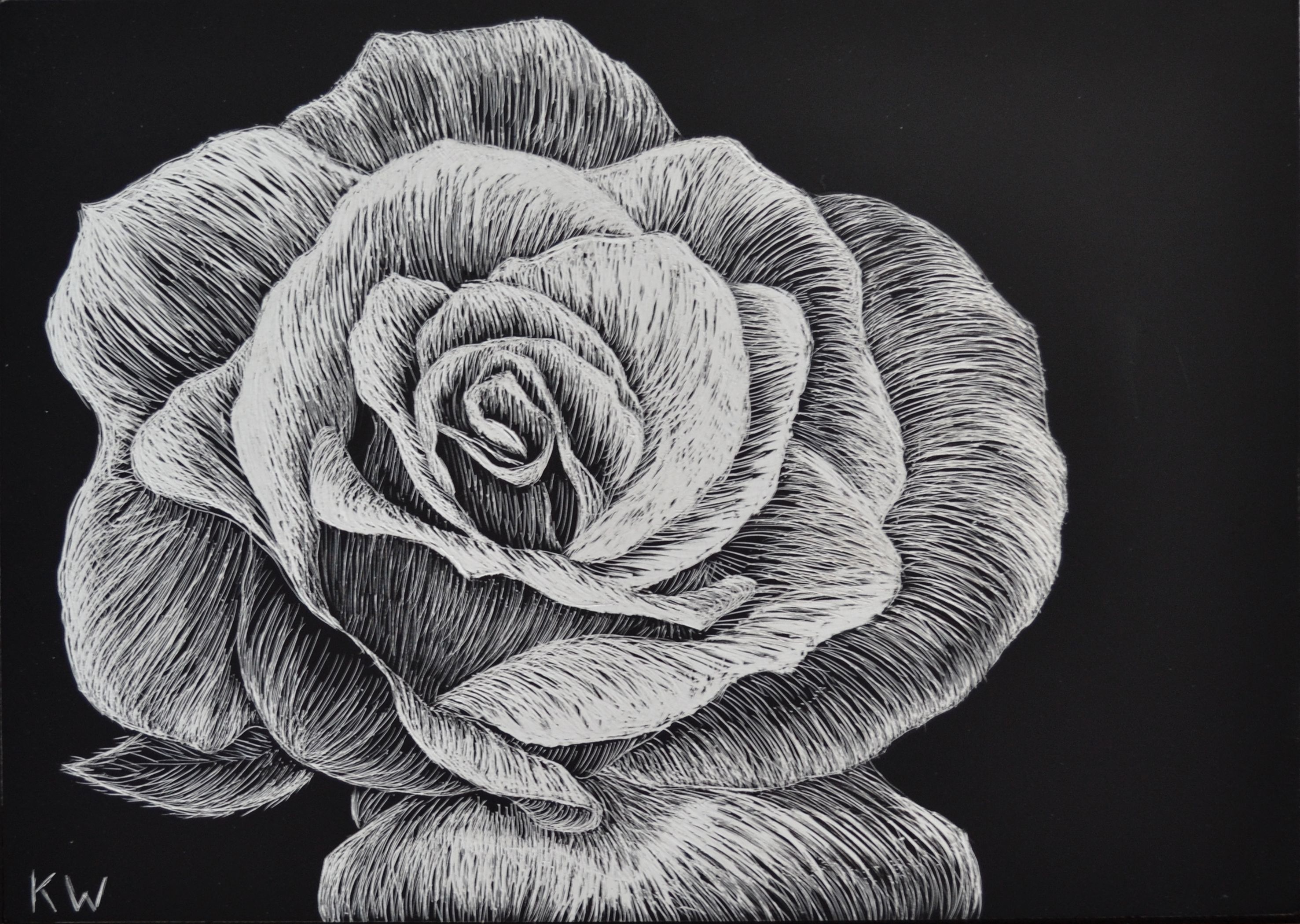 Featured image of post Scratchboard Ideas Flowers