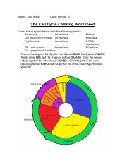 Featured image of post The Cell Cycle Coloring Worksheet